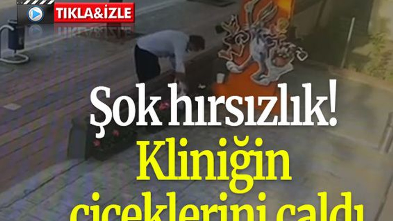 Şok hırsızlık! Kliniğin çiçeklerini çaldı